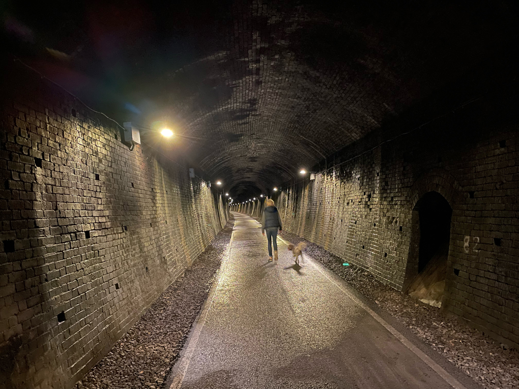 A person and a dog walking through a dimly lit tunnel
