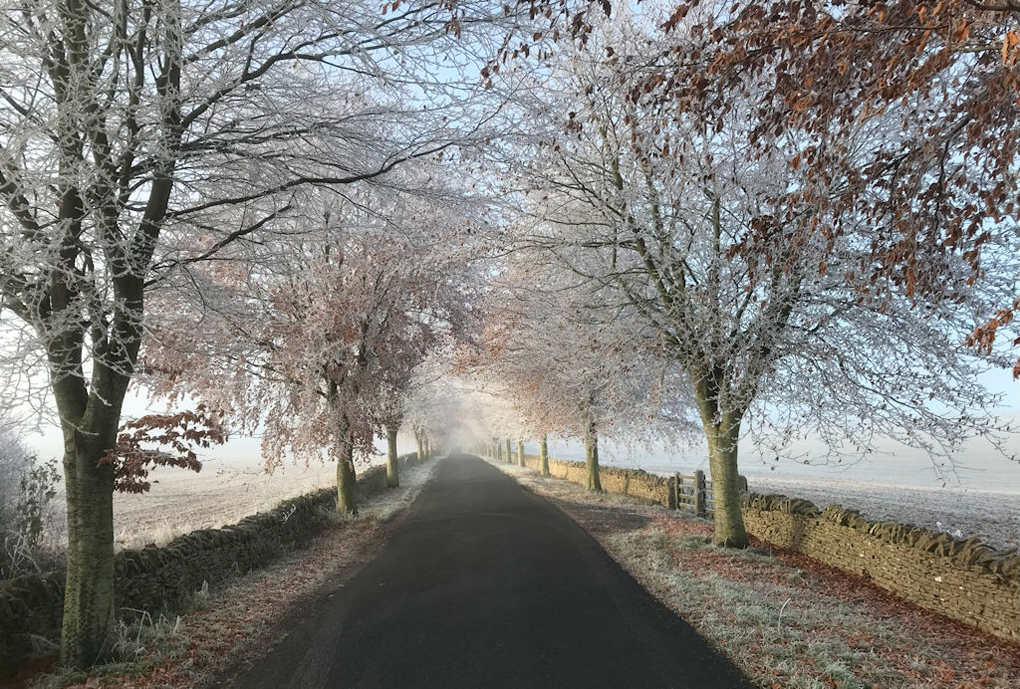 A simple image with a road (no white lines) in the centre leading off into the distance. The road is lined on both sides by frost-lined trees with blue sky peeking through their bare branches.  Outside the trees, on each side are low Cotswold stone walls and fields beyond those. Were the ground is visible that is also lined with frost, apart from the solid black of the road itself.