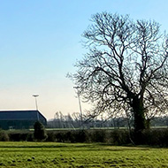 Picture of a blue sky and green grass stretching into the distance!