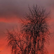 Red sky with silhouetted trees
