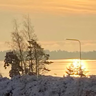 Wintery scene with a motorway and low sun.