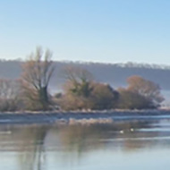 Frost-covered ground and reeds with clear and bright blue sky overhead