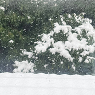 Looking out of a window at a rooftop covered in snow.