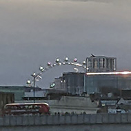 Muddy Thames in March