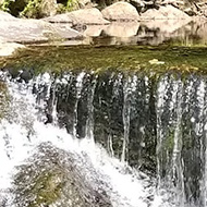 A river, mini waterfall, rocks and beautiful green trees