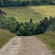 We see a view of Box Hill in Surrey