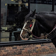 Town setting with horse drawn carriage all set in 1900.