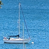 Boats floating seen through the treeline of Bois de la Chaise on Noirmoutier