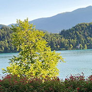 A table laid for breakfast is at the forefront just in front of an arch. Through the brick arch is a lake with an island. In the distance are mountains.