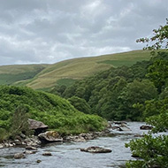 A rocky river running through RSPB Gwenffrwd-Dinas, with ferns at the riverbank, mountains in the backdrop and a cloudy sky