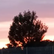 Pink and yellow sunset over a fence