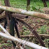 Rusty Old Bike