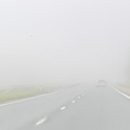 Foggy road as viewed from inside a car.