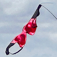 A bra masquerading as a flag, at a music festival