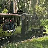 Taken from steam train car window. Shot of many other people sitting with dangling legs and using phones and cameras to take photos while the front of the train curves to the right. Grass and tall trees to the right.