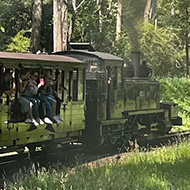 Taken from steam train car window. Shot of many other people sitting with dangling legs and using phones and cameras to take photos while the front of the train curves to the right. Grass and tall trees to the right.