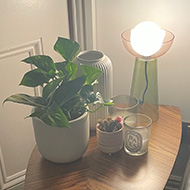 End table with lamp, plant, and candles next to sofa