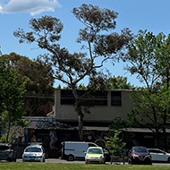 A park with trees and parked cards in the distance. Cloud formation in sky resembling a 747 jumbo jet.