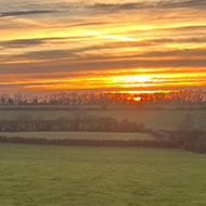 Walking through a field at sunset