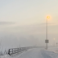 Snowy landscape