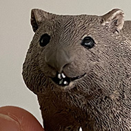 A small plastic wombat held aloft on fingertips. The wombat is smiling.