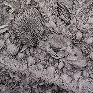 Our outdoor table covering wa covered with heavy frost in early December. The rest of the month has been very wet so I struggled for a photo this month. The frost formed lots of shapes, including a T-Rex, an otter and a hedgehog. Unusual shapes!