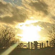 Dramatic sunset over a gate