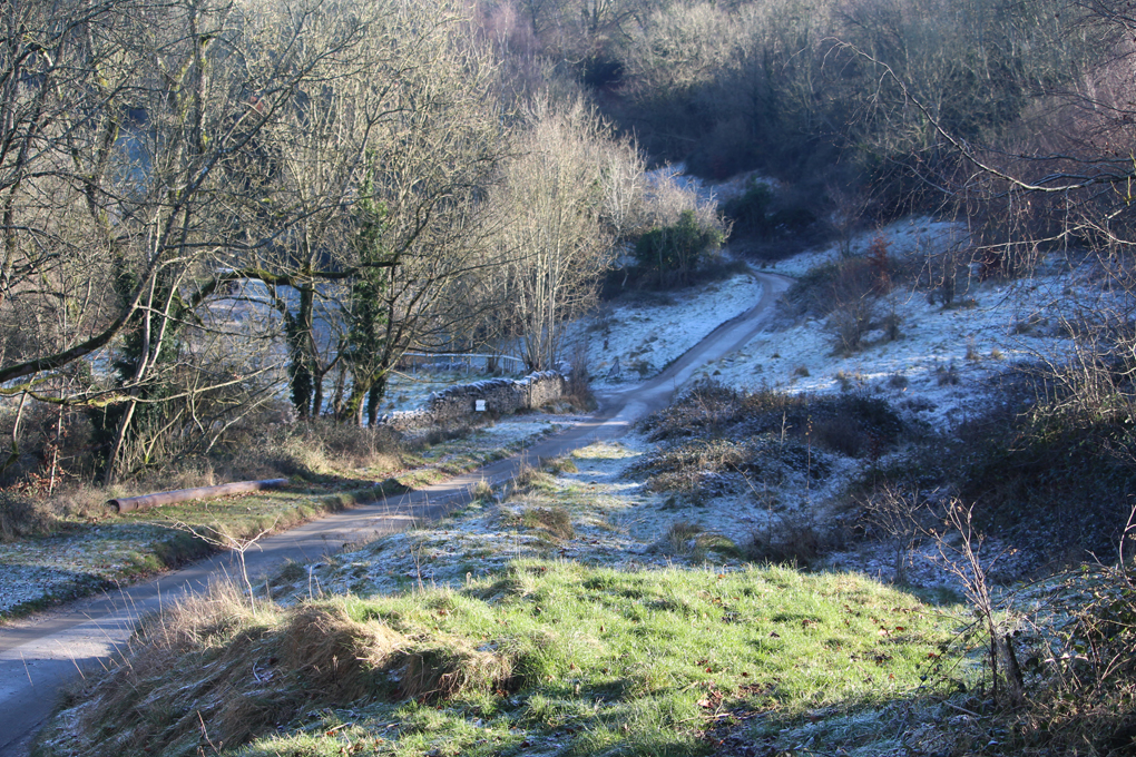 Long shadows from low sunlight deepen the sense of chill through a frosty dell.
