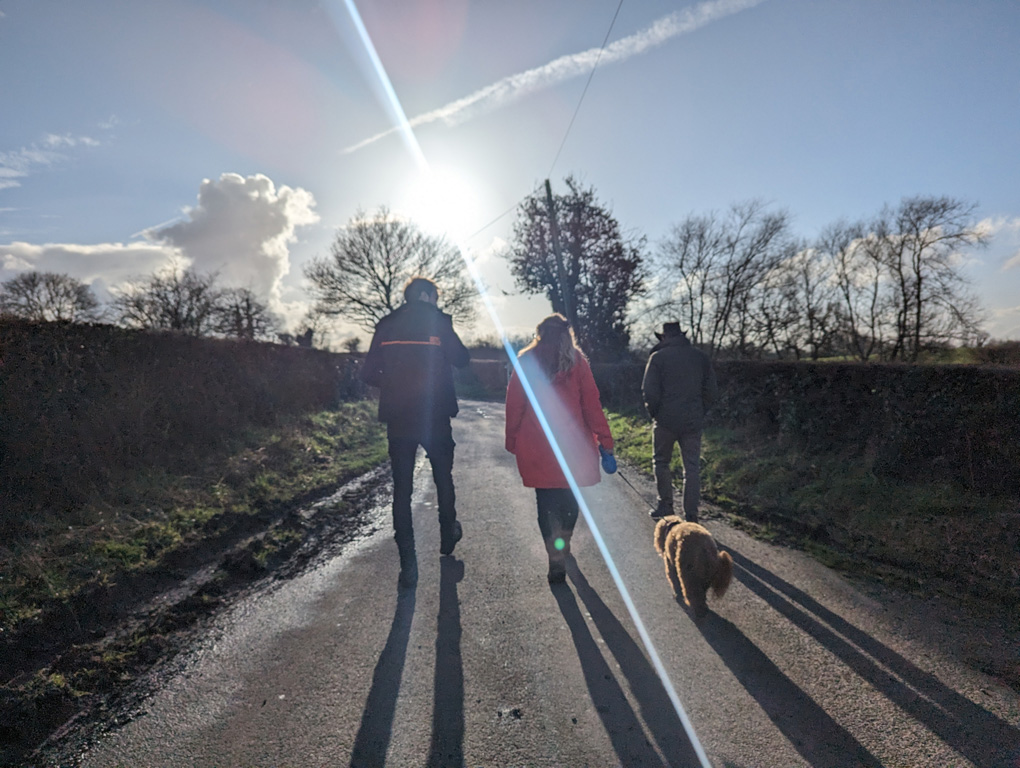 Three figures walking down a road with wide tall hedges on either side. The sun is in front of them leaving the figures almost as silhouettes