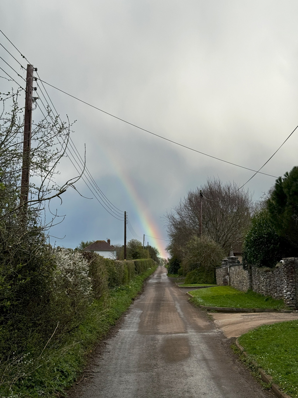 A brightly coloured rainbow appears at the end of a verdant country lane, with thick grey clouds covering the sky above