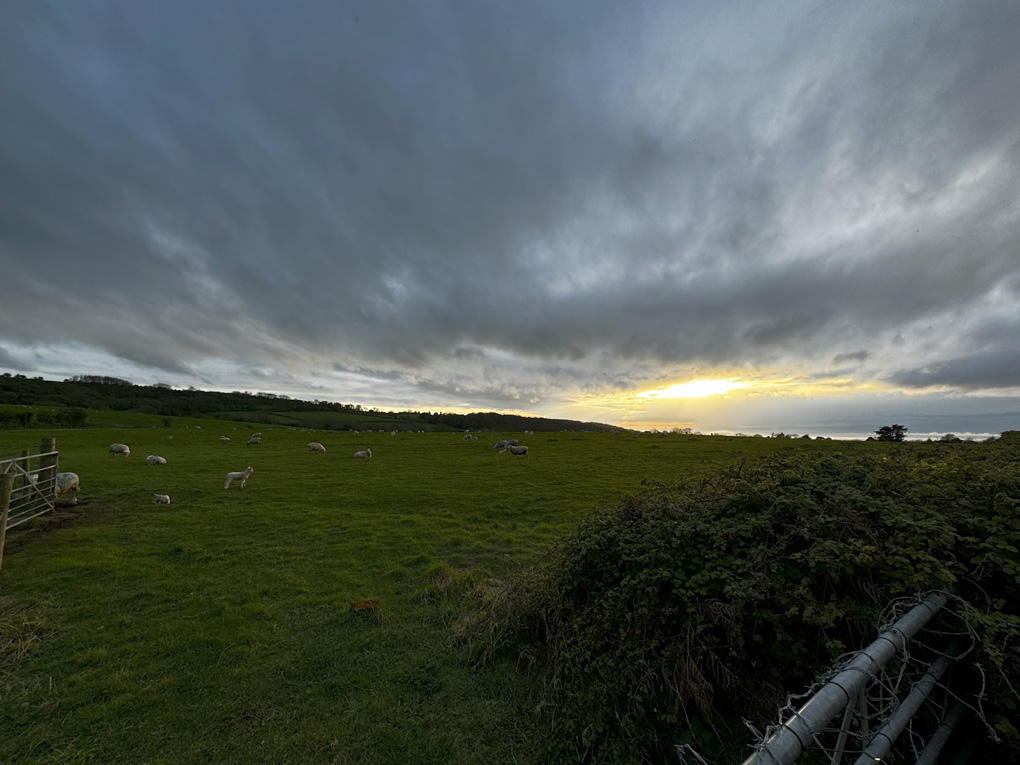 A lush green field sits under a densely clouded blue-grey sky, as the sun begins to descend in the distance