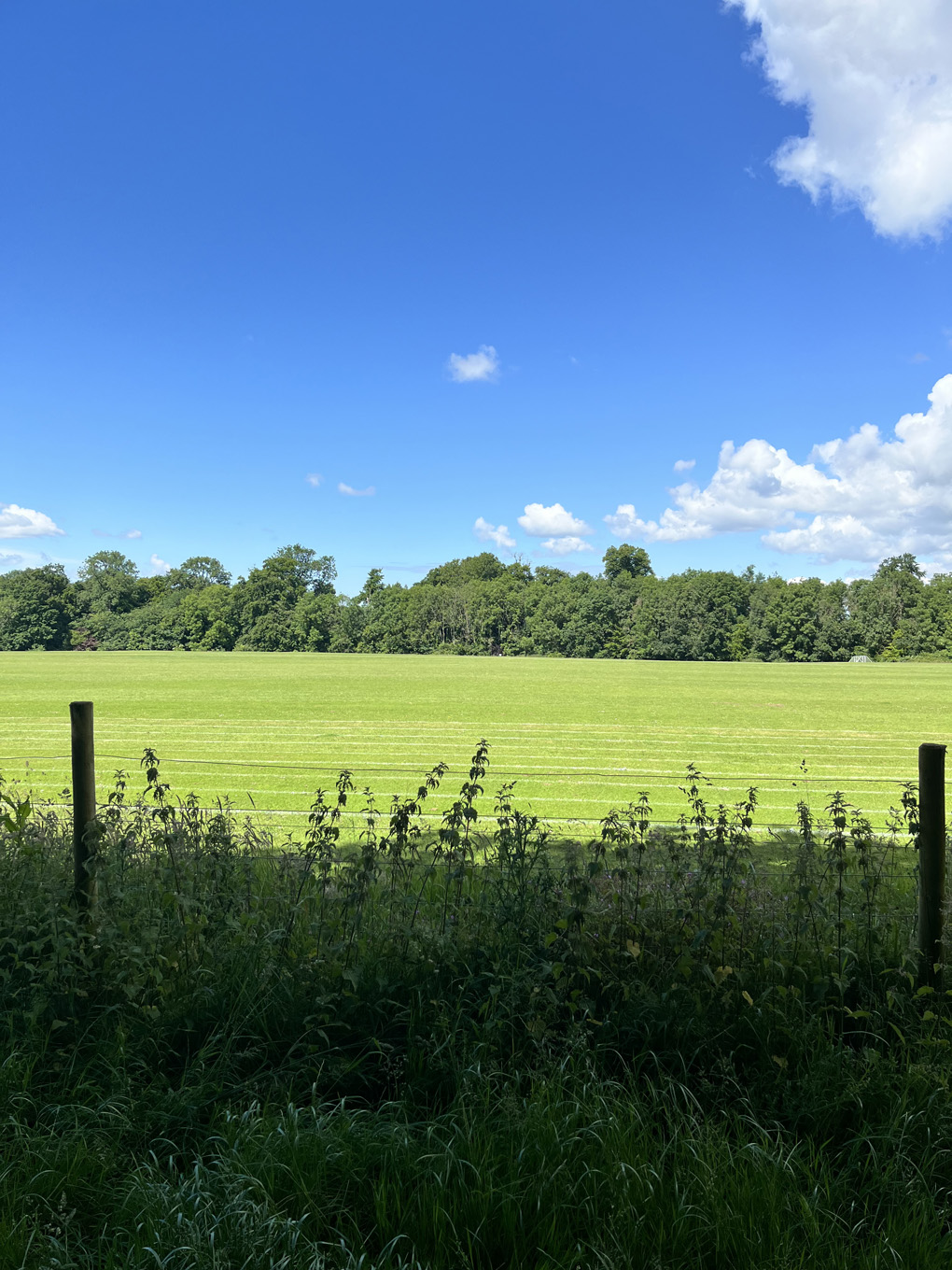 Looking out across a wide, flat field on a bright, fresh, sunny day