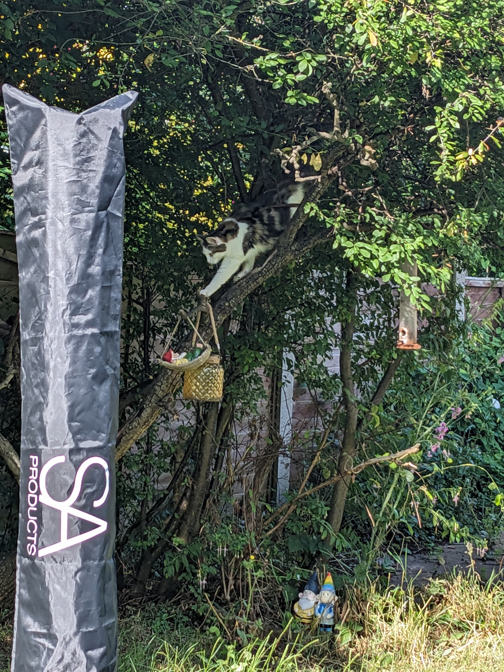 A cat climbs down a tree reaching towards a garden gnome sleeping in a hammock hanging from the branches. Below a pair of gnomes watch in concern.
