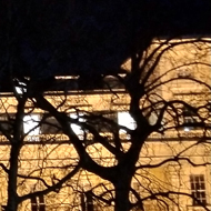 The Royal Society with mood lighting