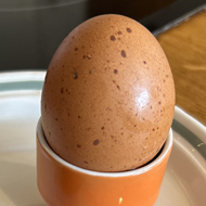 Egg in an egg cup with a small egg next to it.