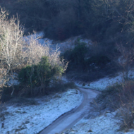 Long shadows from low sunlight deepen the sense of chill through a frosty dell.