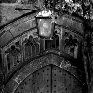 Old church wooden door framed by old Yew trees whose trunks and roots have encroached on the threshold