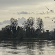 Atmospheric afternoon , Kingston Upon Thames