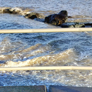 A view of the sea. On the floor a plaque and arrow pointing towards equatorial east.