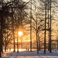 Sunrise behind a road and trees