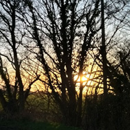 Twilight views, a smiley coffee and a book