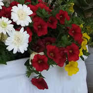 Stone archway with pretty flowers