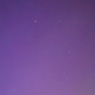 A purple hue over a silhouette of a tree. The northern lights