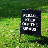 Lawn with trees and a 