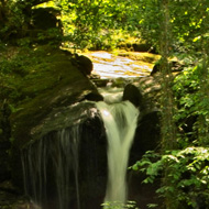 Slow exposure to blur the water as it falls in three steps amid sun-dappled trees