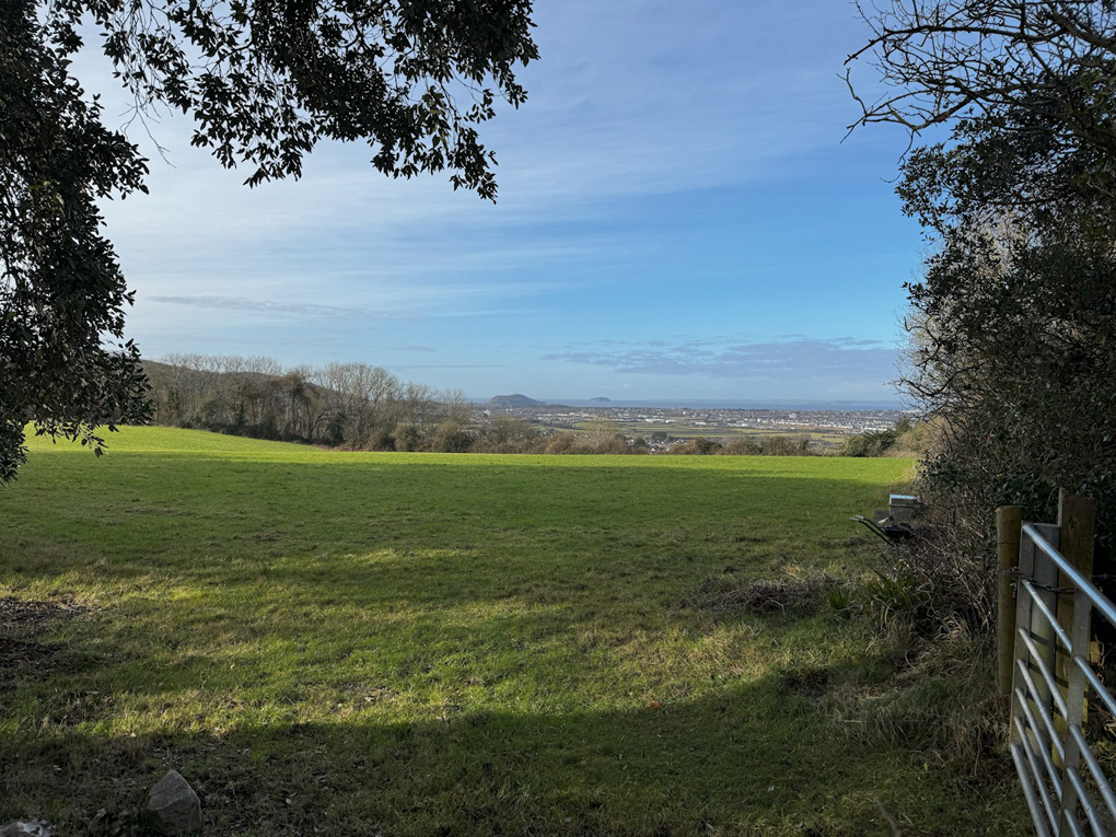 A green paddock rolling slightly downhill to a stand of leafless grey-brown trees, with bright town buildings in the further distance, and the sea in the background
