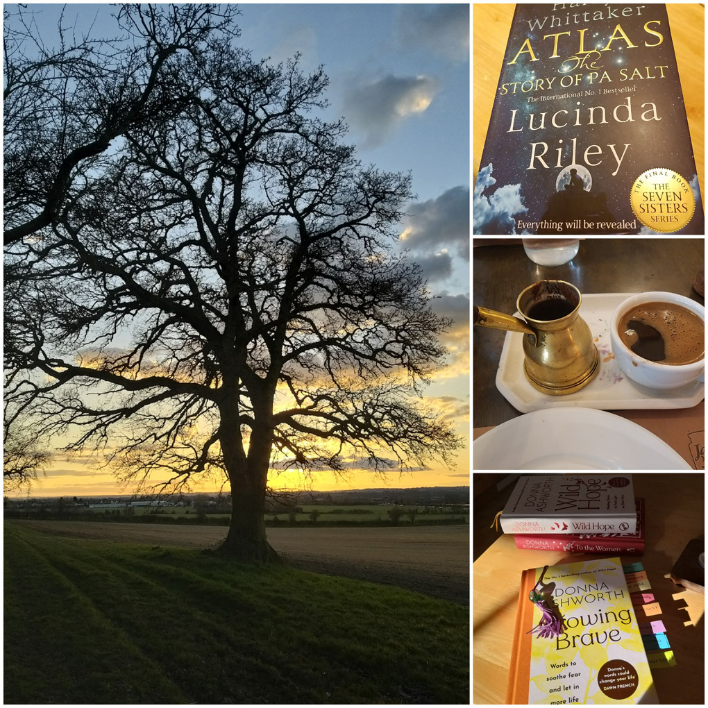 A single oak tree, silhouetted against a sunset sky, two books, and a traditional greek coffee (4 pictures in a collage)