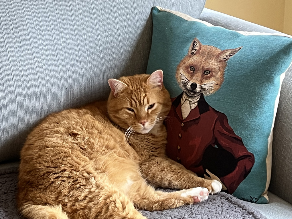 Sherman and Mr Fox