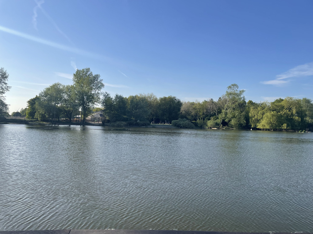 A small lake with beautiful sunshine with a row of trees
