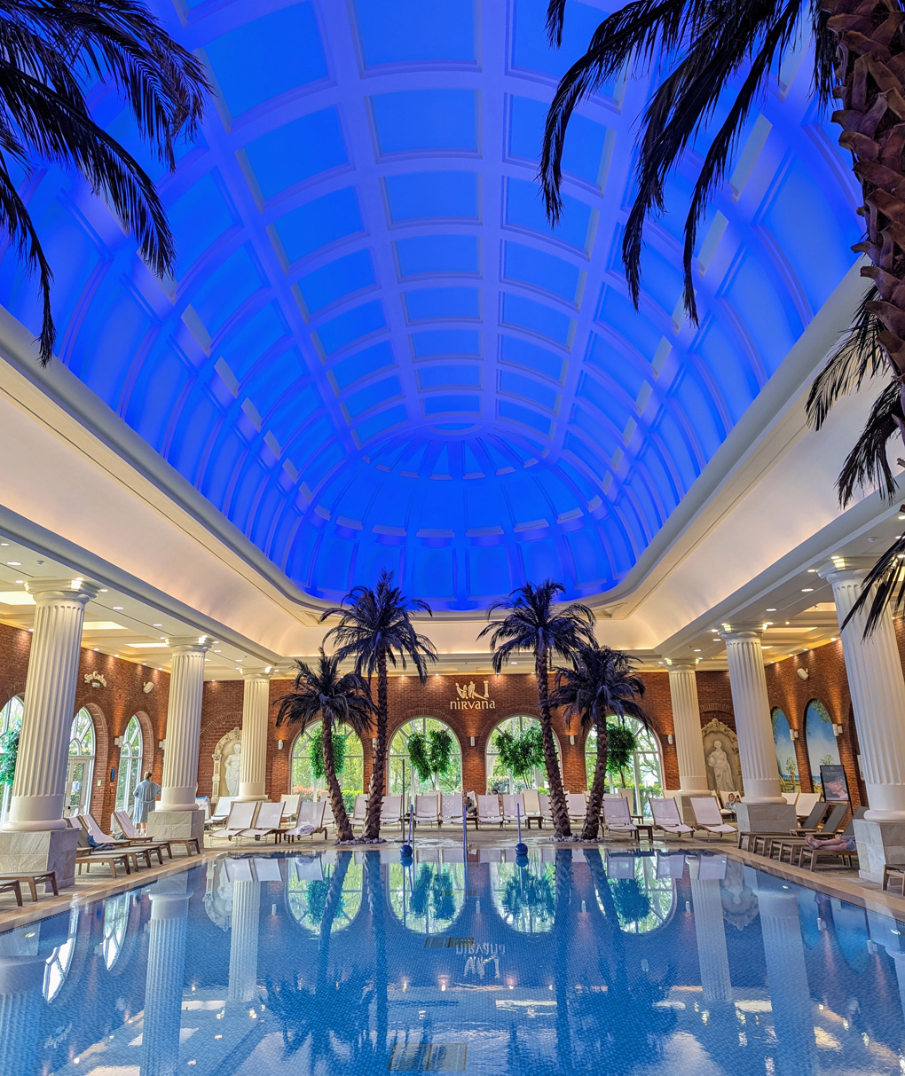 An indoor swimming pool, completely empty. Large ornate columns and palm trees reach high around the pool meeting a domed ceiling